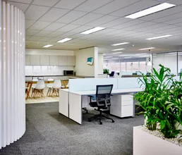 Commercial Cleaning